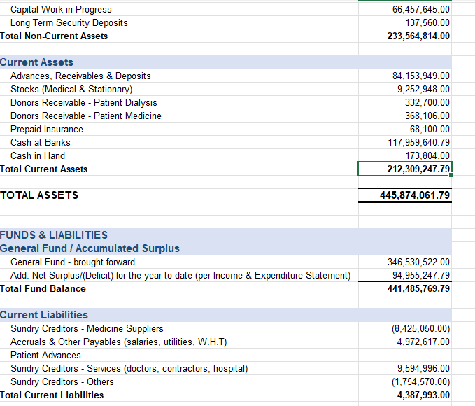 Balance sheet prepared for the healthcare client